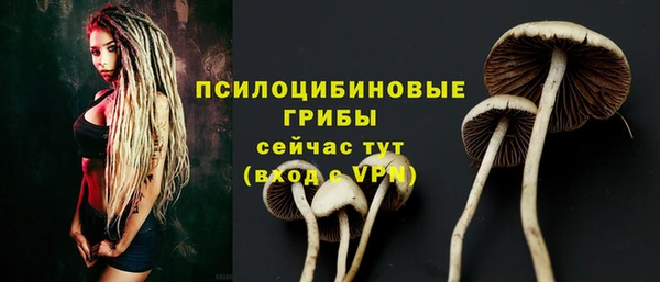 ALPHA PVP Надым