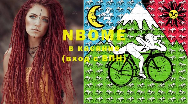 хмурый Вяземский