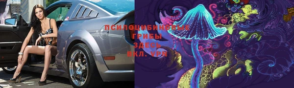 ГАЛЛЮЦИНОГЕННЫЕ ГРИБЫ Нефтегорск