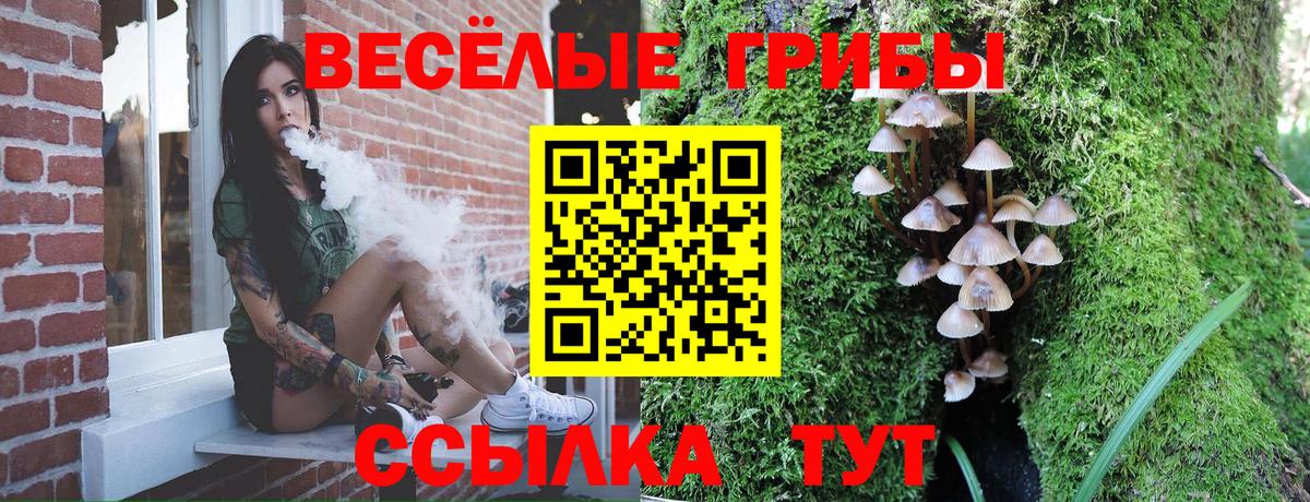 цены наркотик  Нижнеудинск  Псилоцибиновые грибы мицелий 