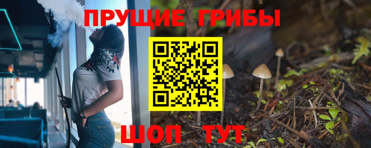 Псилоцибиновые грибы GOLDEN TEACHER Нижнеудинск