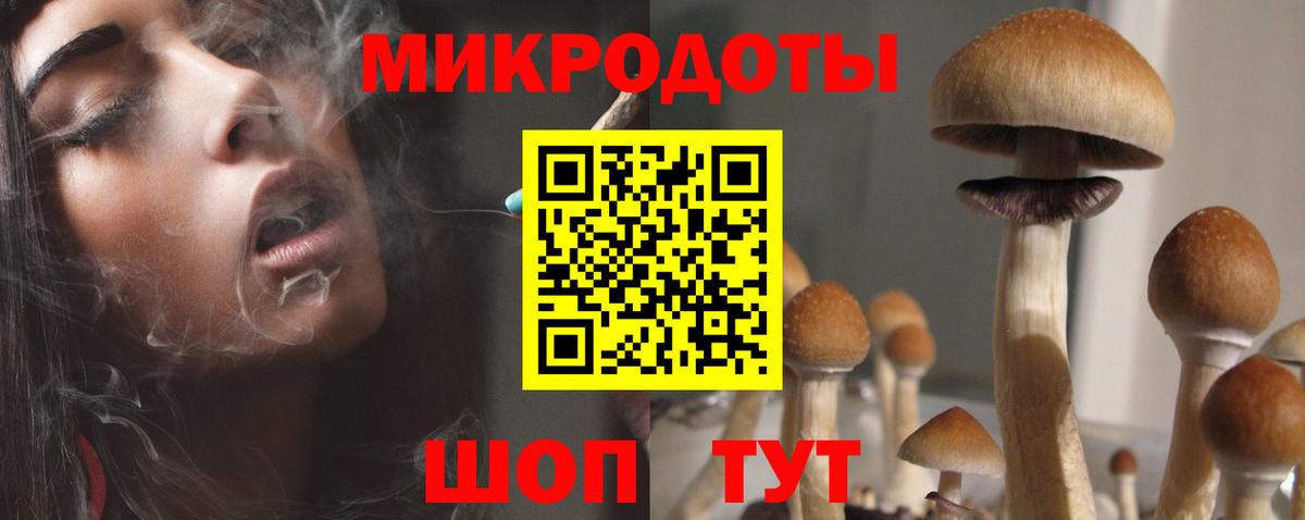 Галлюциногенные грибы мухоморы Нижнеудинск